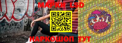 гидропоника Гатчина