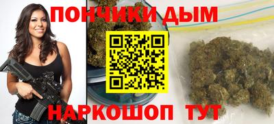 гидропоника Гатчина