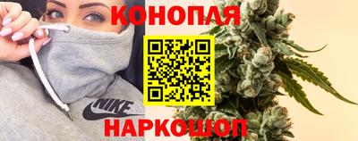 гидропоника Гатчина