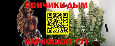 гидропоника Гатчина