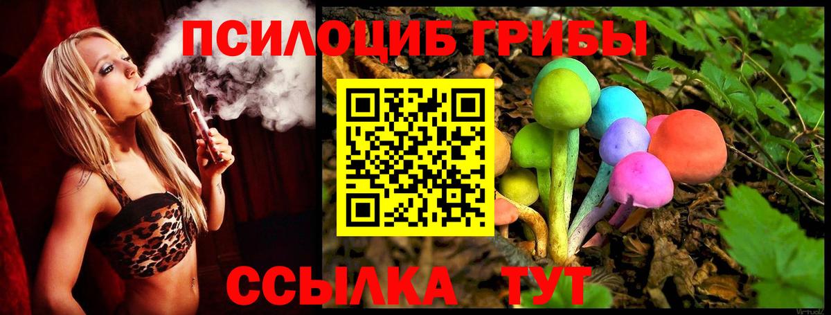 Псилоцибиновые грибы мицелий  Вход с VPN  Копейск  Псилоцибиновые грибы Magic Shrooms 